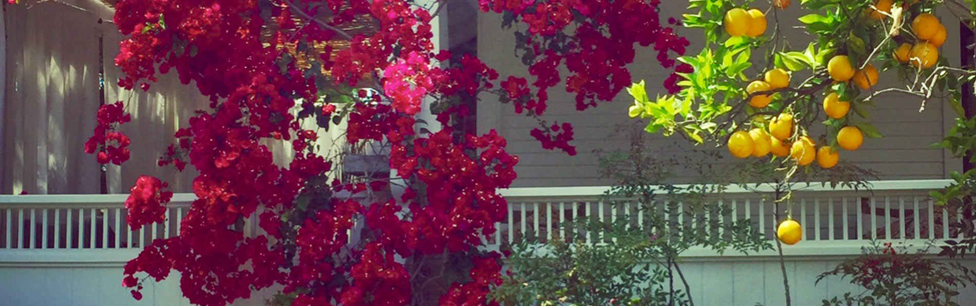 slide-image4